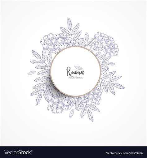 Round banner with rowan vintage Royalty Free Vector Image