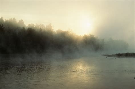 Mist over lake in morning Free Photo Download | FreeImages