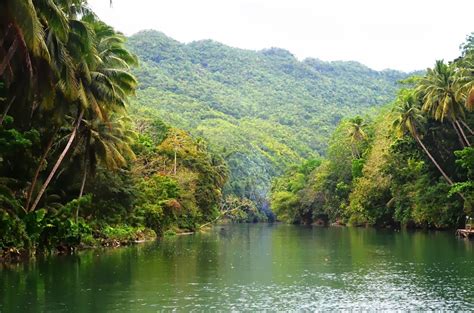 Exploring Bohol: Cruising the Loboc River