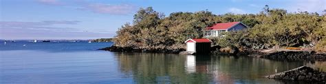 Home page - Rangitoto Island Historic Conservation Trust