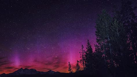 Got lucky last night, Northern Lights in Oregon! USA [3840x2160] : WQHD_Wallpaper