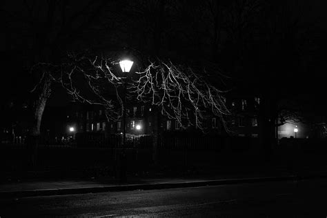 Night, Wood, Tree, Lamp, Lantern, Bw, Chb HD wallpaper | Pxfuel