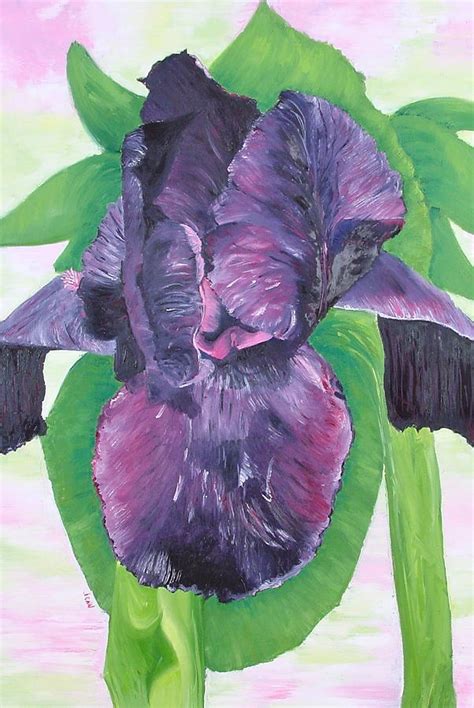 Black Iris Painting by Jennifer Ryan | Fine Art America