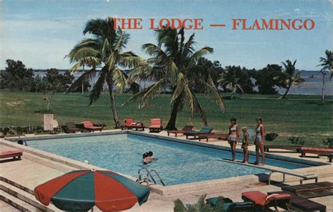 The Lodge Flamingo in The Everglades National Park Florida Postcard