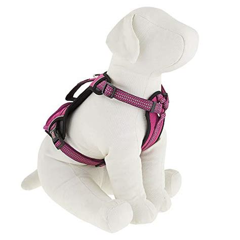 Kong Reflective Pocket Dog Harness