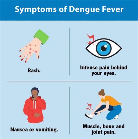 Dengue Fever Symptoms Rash