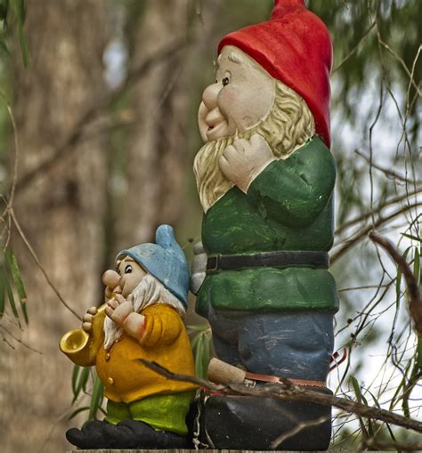 More inhabitants of "Gnomesville", Western Australia. Chec… | Flickr