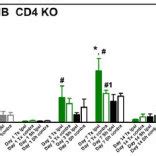 Flow cytometric analysis of lumbar spinal cord mononuclear cells. Total... | Download Scientific ...