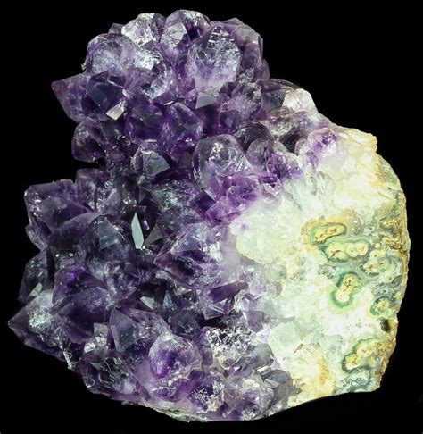 6" Wide, Dark Purple Amethyst Cluster - Large Crystals (#57204) For Sale - FossilEra.com