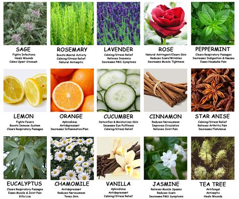 Essential Oils Chart For Uses And Benefits