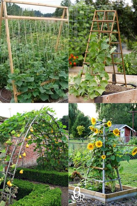 24 Easy DIY Garden Trellis Ideas & Plant Structures - A Piece of ...