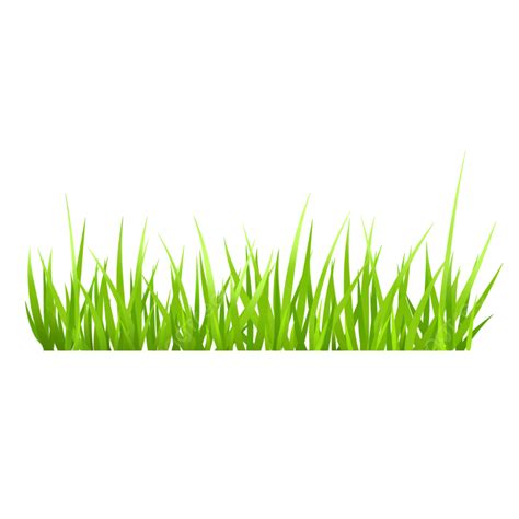 綠草裝飾, 草, 春草, 現實的草素材圖案，PSD和PNG圖片免費下載