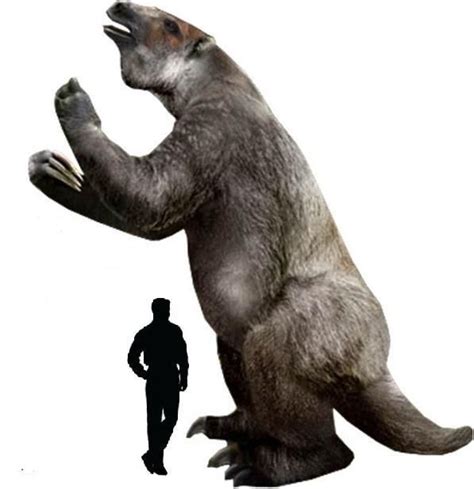 Megaterio | Ground sloth, Mammals, American animals