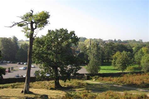 Dog walk at Bradgate Park · Leicestershire · Walkiees