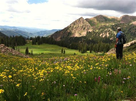 Vail Summer Activities - The Wren