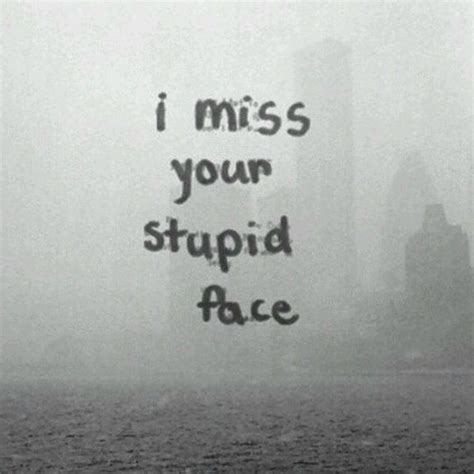 I Miss Your Stupid Face Pictures, Photos, and Images for Facebook, Tumblr, Pinterest, and Twitter