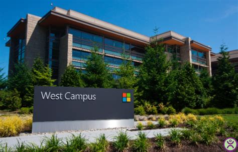 Hiring Tips for Recent Graduates - An Exclusive Interview with Microsoft University ...