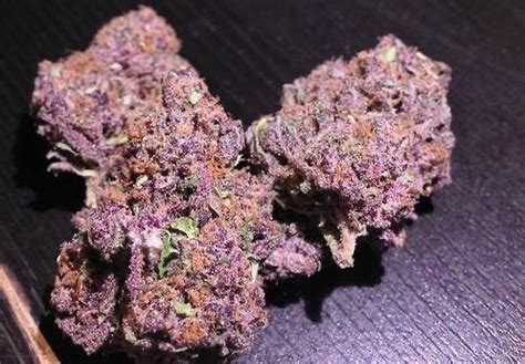 Purple Urkle Strain Review | Real. Functional.