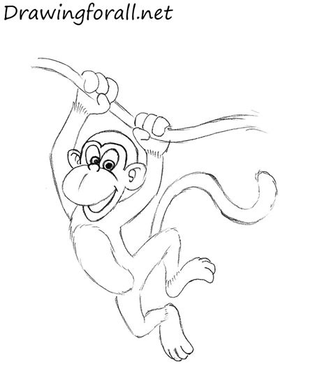 Monkey Drawing For Kids