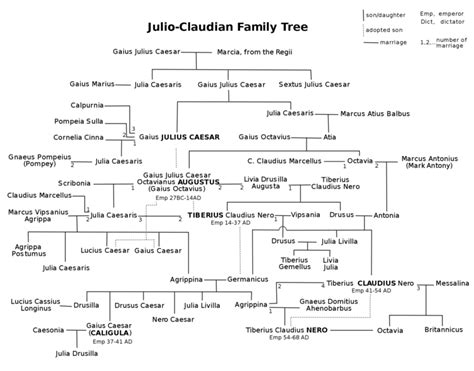 Julio-Claudian Family Tree | Ciencia historica, Emperador, Dinastia