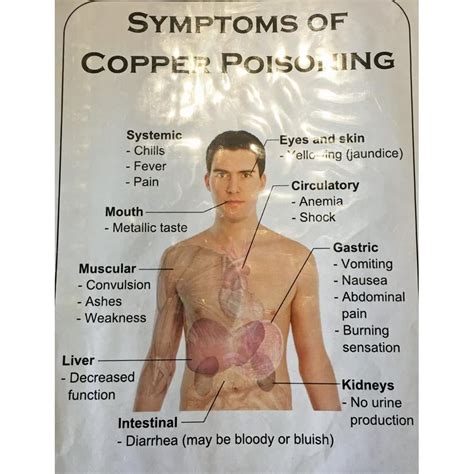 About copper jewelry toxicity | Copper jewelry, Copper, Jewelry