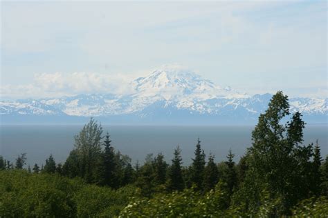 The Harris Herd: Cook Inlet, Volcanoes and Welcome to Homer!