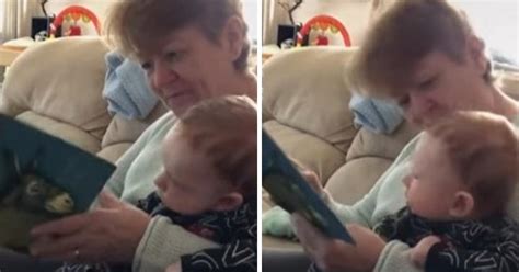 Hilarious Clip Of Grandma Reading "The Wonky Donkey" Becomes Internet Hit