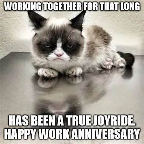 54 of the Best Work Anniversary Memes