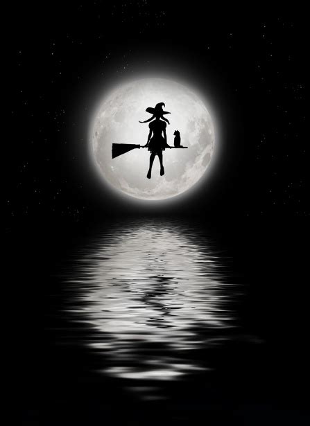 Full Moon Witch Free Stock Photo - Public Domain Pictures