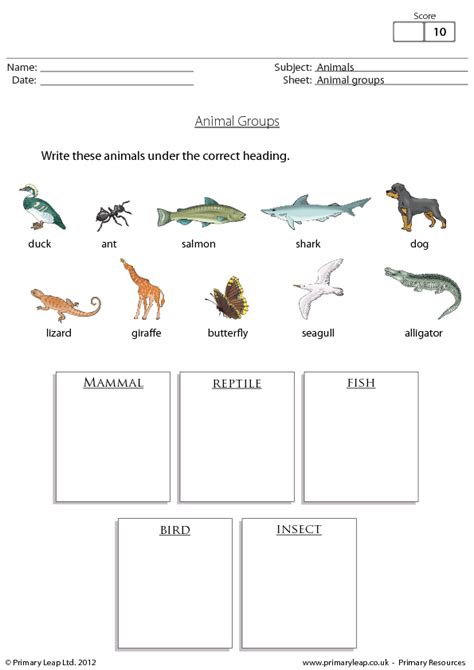 Sorting Animals Into Groups Worksheets - WorksheetsCity