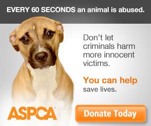 Donate | ASPCA