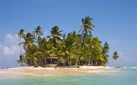 palm Trees, Island, Nature, Landscape Wallpapers HD / Desktop and Mobile Backgrounds