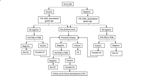 Celiac disease diagnostic testing algorithm adopted from Mayo Medical... | Download Scientific ...