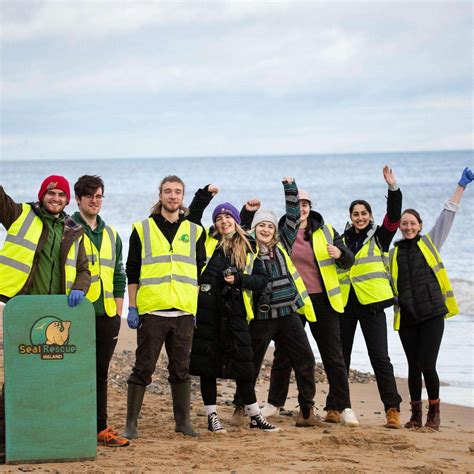 Volunteer With Us - Seal Rescue Ireland