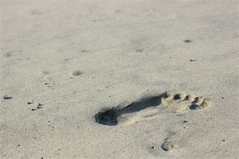 footprints in the beach sand 25768044 Stock Photo at Vecteezy