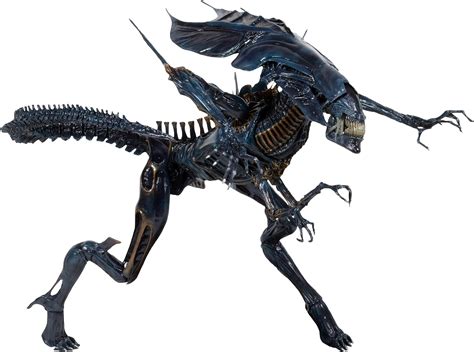 Xenomorph Png