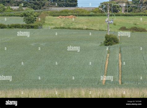 river medina Isle of Wight Stock Photo - Alamy