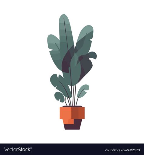 Potted plant design Royalty Free Vector Image - VectorStock