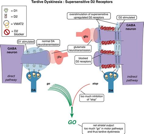 Mechanism of action of vesicular monoamine transporter 2 (VMAT2) inhibitors in tardive ...