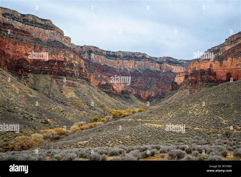 View from the Plateau Point Trail in the canyon of the Grand Canyon to the South Rim, behind ...