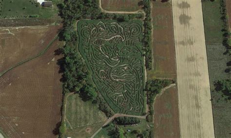 Corn Fun Family Farm Maze Design 2023