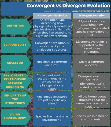 Difference Between Convergent and Divergent Evolution | Compare the ...