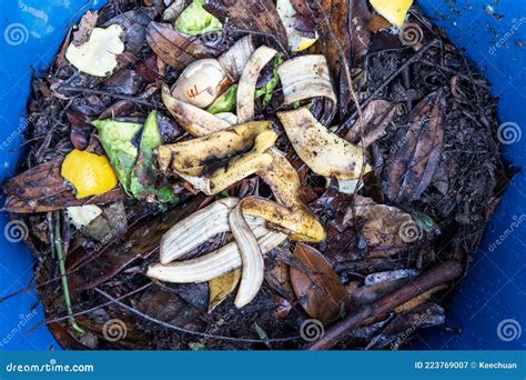 Banana Peel Added As Part of Organic Green Ingredients in Compost Bin ...