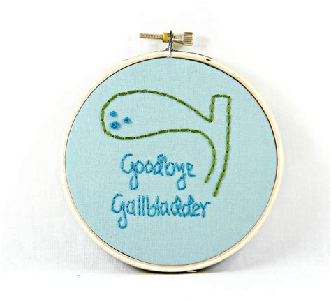 Get Well Soon Gift Goodbye Gallbladder Hoop Art. Hand Embr… | Flickr