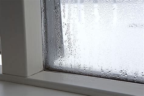 4 ways to eliminate winter window condensation - Cottage Life