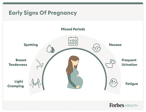 Early Pregnancy Symptoms Timeline