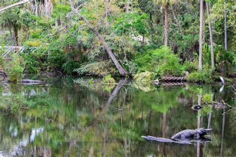 Homosassa Springs Wildlife State Park | Outdoor Project