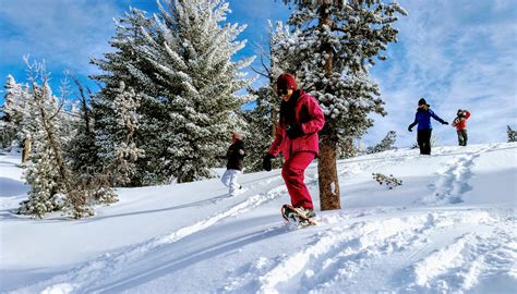 Tahoe Snowshoe Galleries - Lake Tahoe Snowshoe Tours