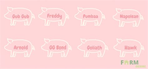 141+ Pet Pig Names for Your Cute Piglet | Farming Base (2022)