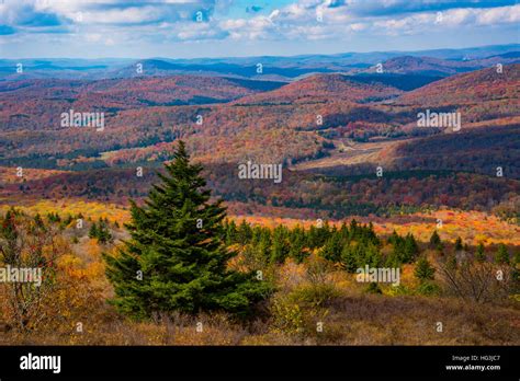 Monongahela national forest hi-res stock photography and images - Alamy